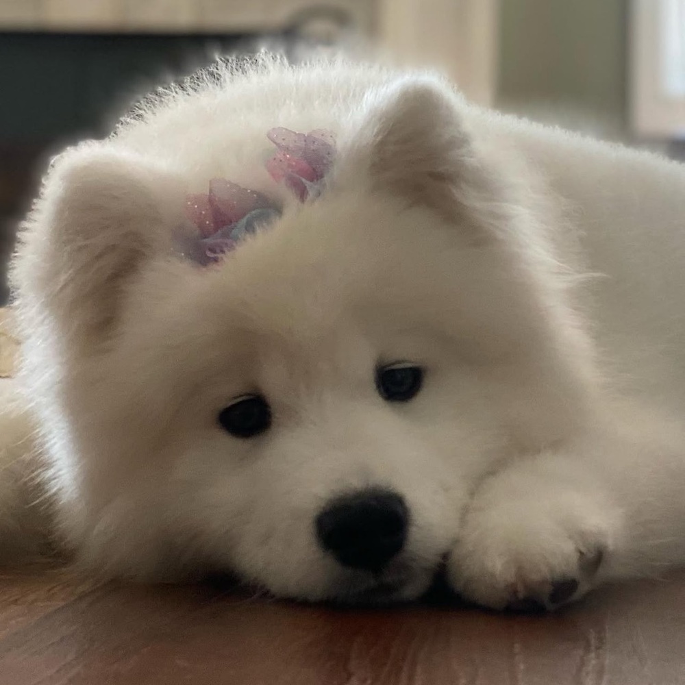 Hi, I’m Jessica 👋 😊 - Picture 8 of 11